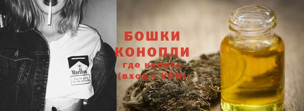 бошки Богданович