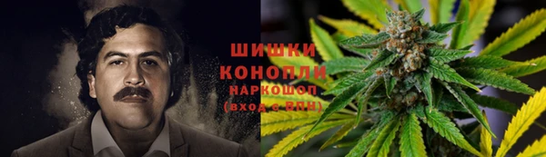 бошки Богданович