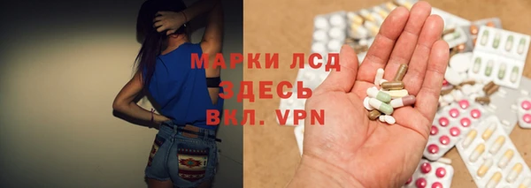 индика Киренск