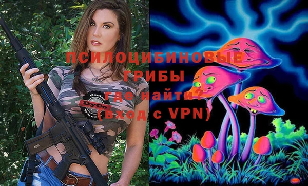 бошки Богданович